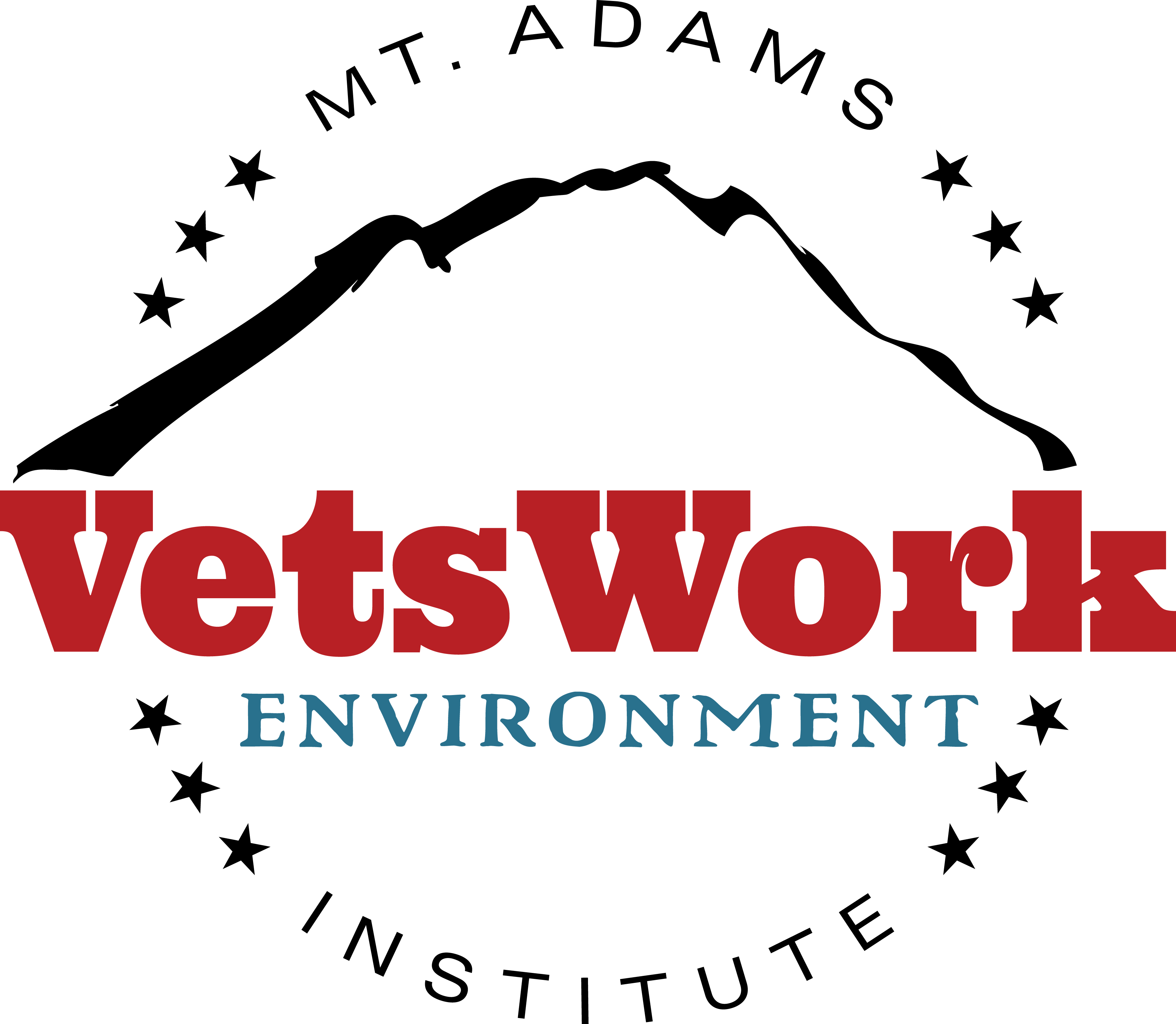 VetsWork Environment