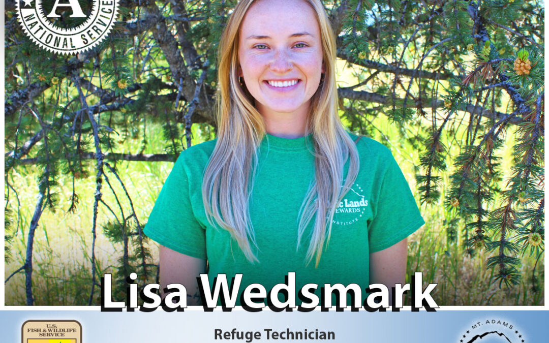 Meet Lisa, 2020 Public Lands Stewards Intern!
