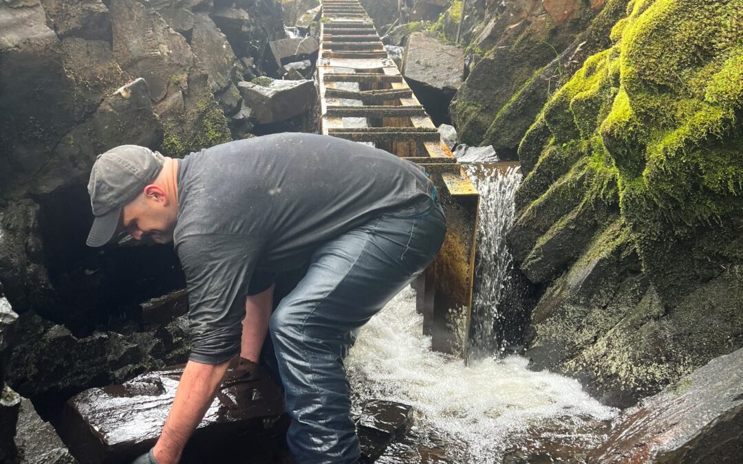 Field Notes: Clearing the (Fish) Pass by Alexander Apelis