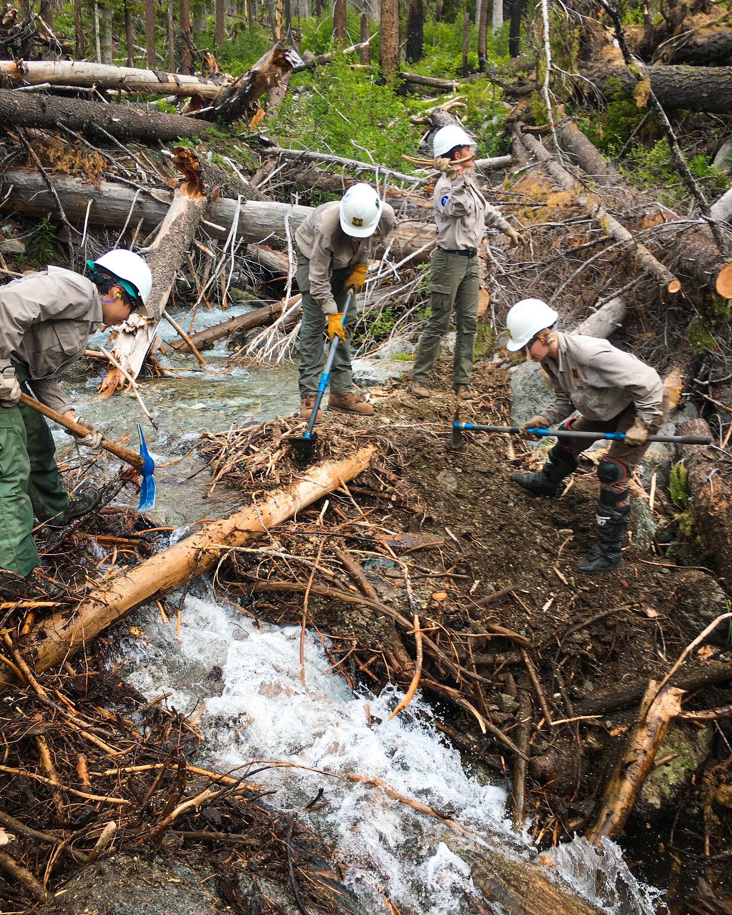 Our trail crew working to clear a blockage to redirect the stream back to its natural flow.