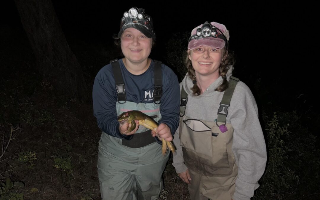 Field Notes: In the Trenches with BRAT: A Summer of Bullfrog Removal and Conservation