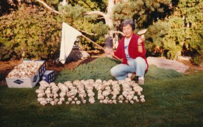 Community, Culture, Food: Matsutake Mushrooms! (松茸/マツタケ) Takes the Stage October 16th