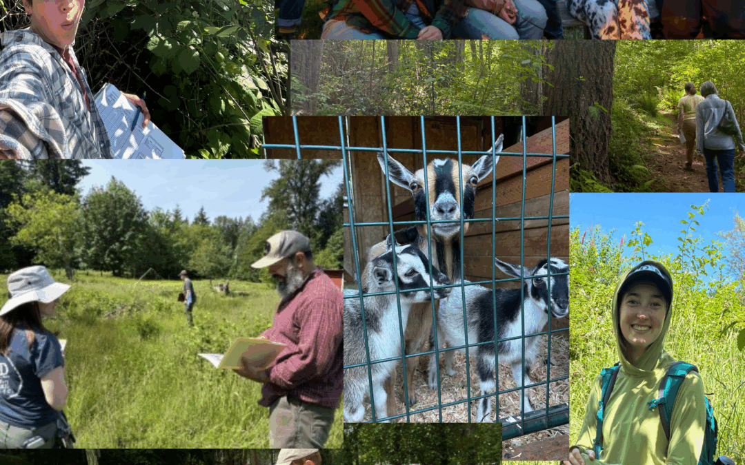 Connecting People to the Natural World Through Education