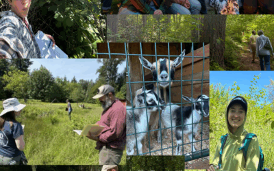 Connecting People to the Natural World Through Education