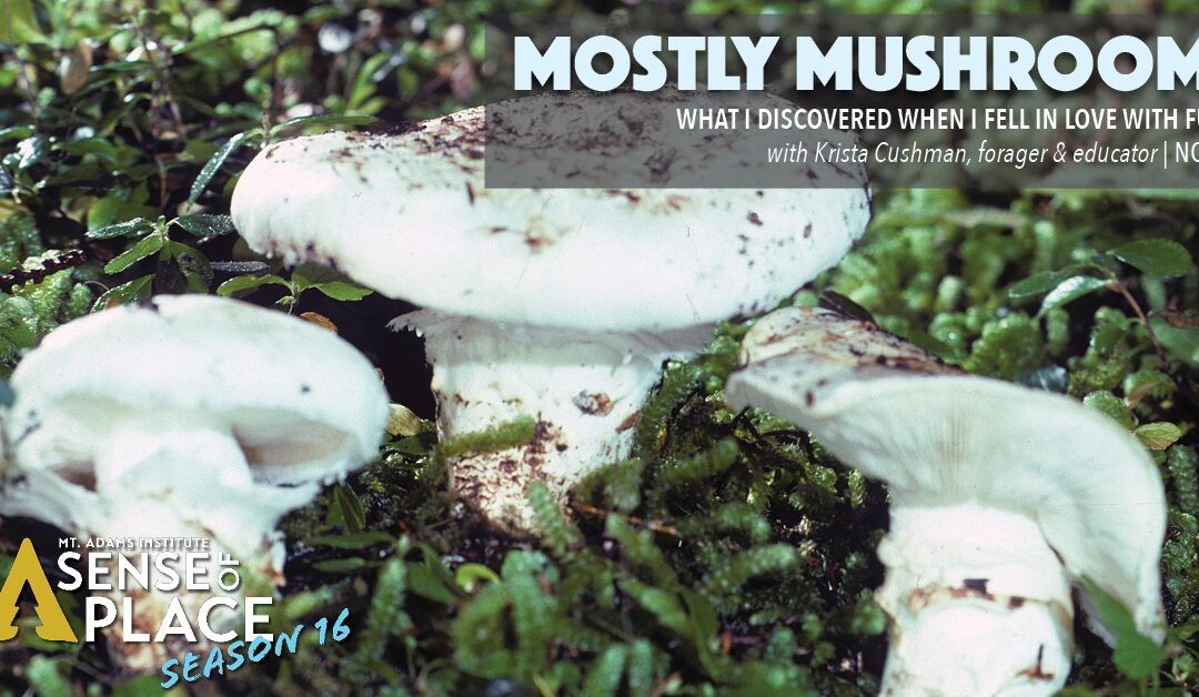 Join us on November 12th for Mostly Mushrooms: What I Discovered When I Fell in Love with Fungi