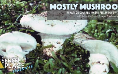 Join us on November 12th for Mostly Mushrooms: What I Discovered When I Fell in Love with Fungi