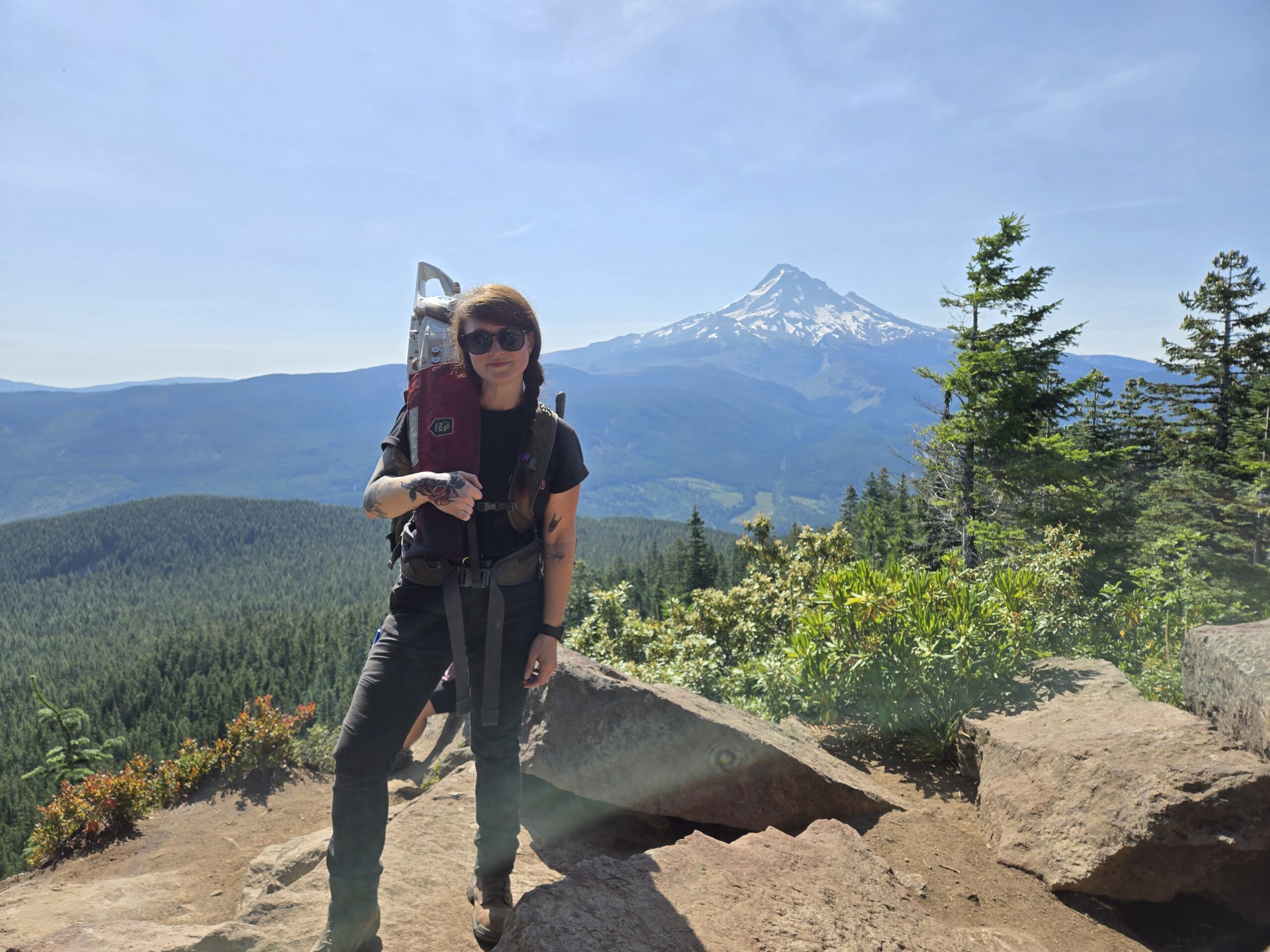 Logging out Lost Lake Butte