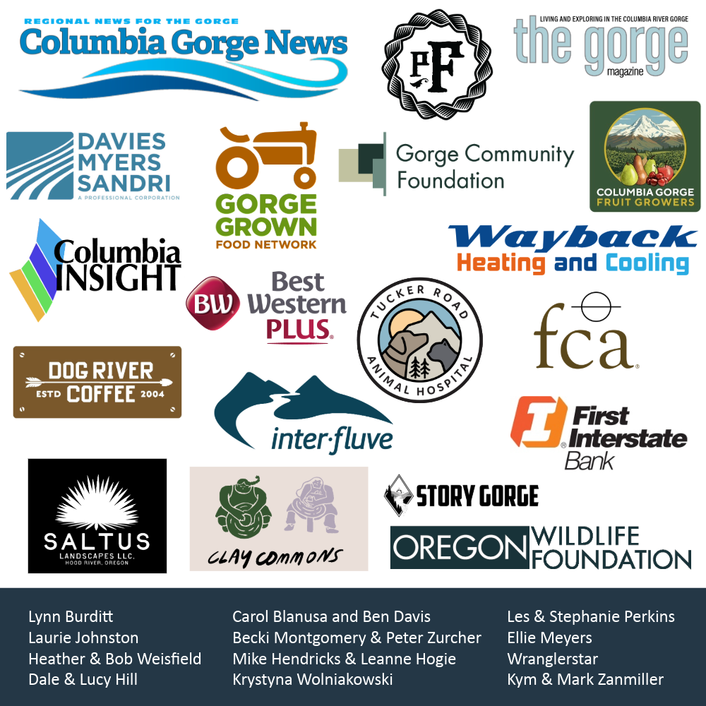 SOP 13 Sponsor logos