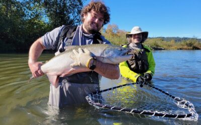 Fisheries and Conservation
